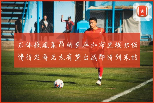 东体报道莱昂纳多和加布里埃尔伤情待定蒋光太有望出战即将到来的比赛