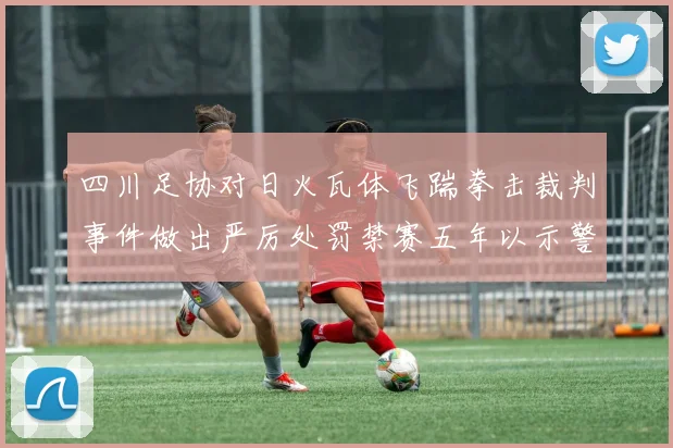 四川足协对日火瓦体飞踹拳击裁判事件做出严厉处罚禁赛五年以示警戒