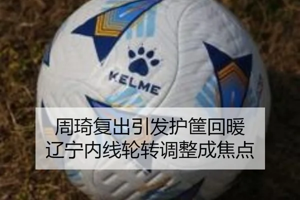 周琦复出引发护筐回暖 辽宁内线轮转调整成焦点 | leyu